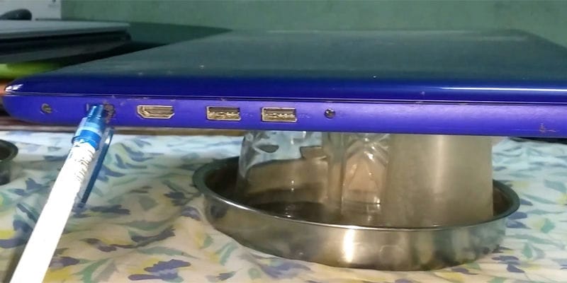 Tại Sao Kiến Lại Chui Vào Laptop?