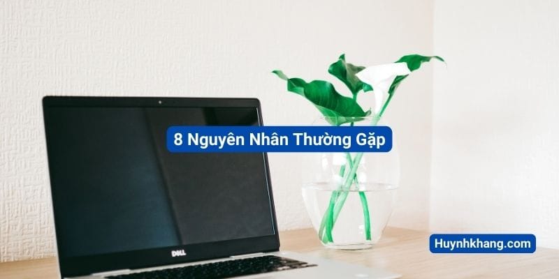8 Nguyên Nhân Thường Gặp