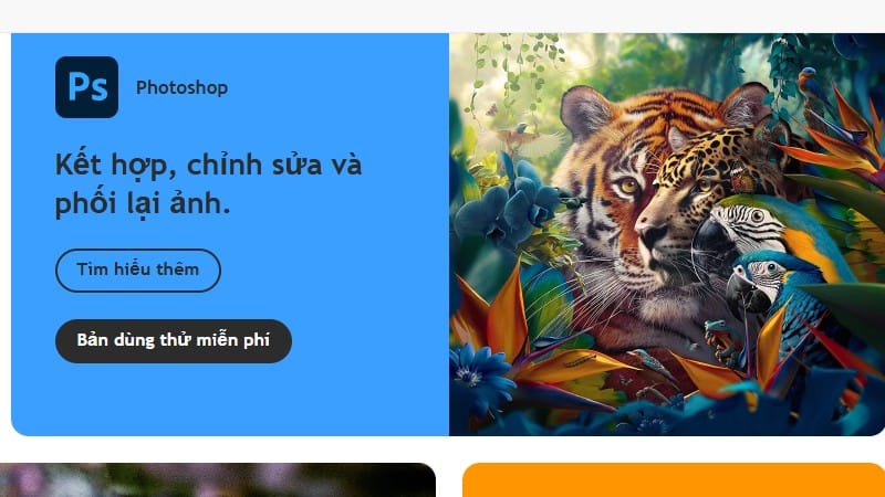 phan mem ban quyen gia re
