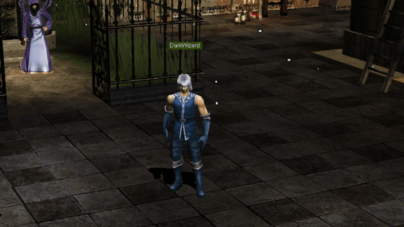 Dark Wizard MU Online: Hướng dẫn chi tiết từ A-Z 5 Dark Wizard